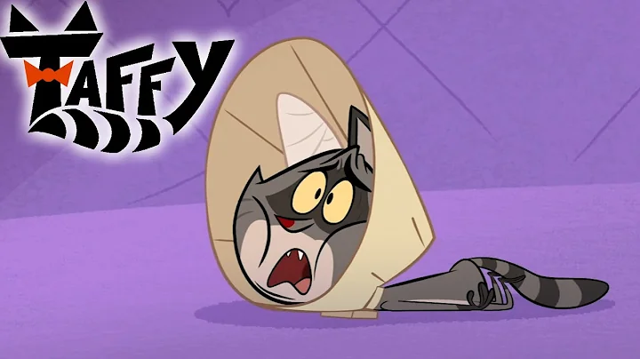 Taffy  No scratching, kitty | cartoons for kids