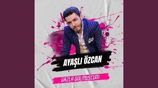 Gazla Dolmuşcum Resimi