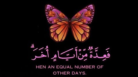 قران كريم | سورة البقرة | القارئ أحمد خضر | تلاوة خاشعة جميلة جدا 😌❤️ | حالات واتس اب قران