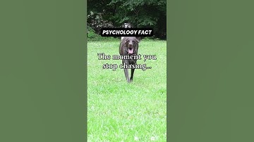 STOP Chasing WRONG Things And WATCH What Happens #shorts #mindset #mindblown #selfgrowth #happiness