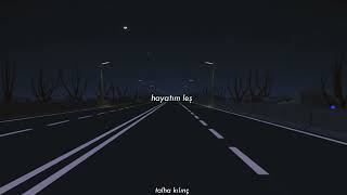 Mavi Gri - Hayatım Leş Slowed+Reverb