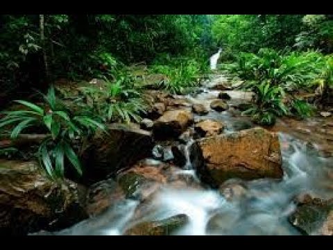 Vídeo: Afganistán Establece Su Primer Parque Nacional - Matador Network