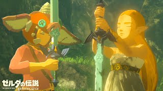 世界が絶賛した史上最高の神ゲー『 ゼルダの伝説 ブレス オブ ザ ワイルド 』#20