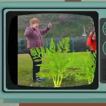 Video porno