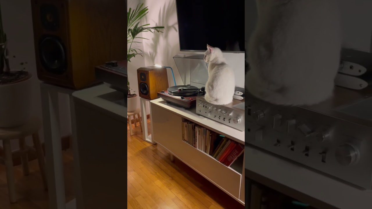 Listening Thomas Feiner on vinyl. Thorens td320 mk3, Yamaha ca-800 II 