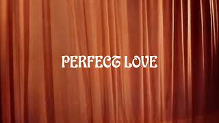 TRIBEZ. - PERFECT LOVE feat. JUJU ROGERS