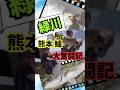 2026春｢#熊本#ランカーシーバスを狙え!!｣#JA-DO編#shorts