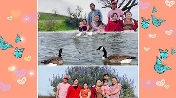 Coj me nyuam Mus taug kev ncig ua si pub o