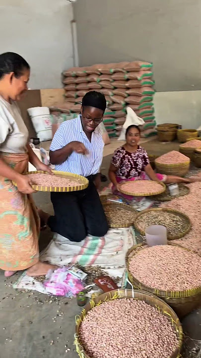 Visiten a peanut plantation