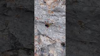 The power of fear punches above your weight #climbing #rockclimbing