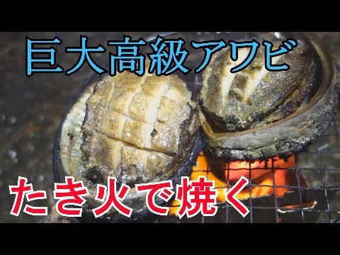 「巨大高級アワビをたき火で焼いて食べるぞ」 in 八丈島