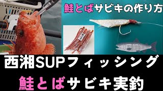 5月の西湘サップフィッシング「鮭とばサビキ」の実釣動画