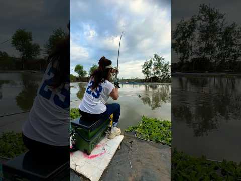 Cần 12h cẩu gạt cho nó đã 😂😂 #cauca #fishing #vyhanfishing