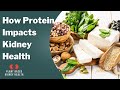 E 3: How Much & What Type of Protein Should You Consume to Protect Your Kidneys?