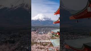 MONTE FUJI GORAIKO
