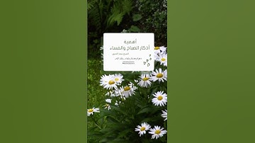 أهمية أذكار الصباح والمساء، الشيخ: سعد العتيق.