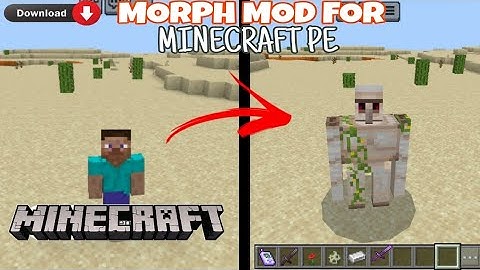 MORPH MOD for MINECRAFT PE 1.20/1.21 🔥| 100% working