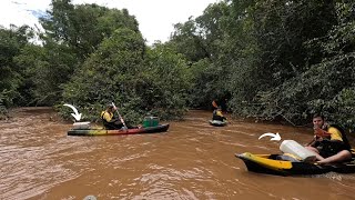 CEVA DE PIAU E PIAPARA - INFALIVEL - A ESCOLHA DO LUGAR FAZ TODA DIFERENÇA