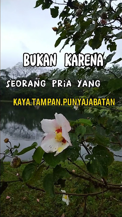 Yang Membuat Wanita Merasa Nyaman dengan Seorang Pria..karena....???#shorts