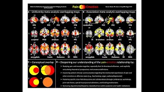 Chronic Pain Is An Emotion