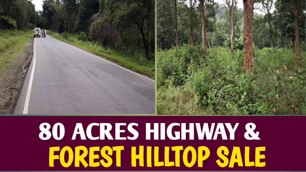 🌲 80 Acres Land For Sale | Highway Touch & Forest Adjacent | Chamarajanagar