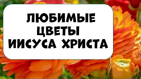 Любимые цветы Иисуса Христа, которые привлекут в дом изобилие и благополучие