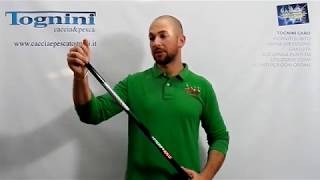 daiwa amorphous extreme