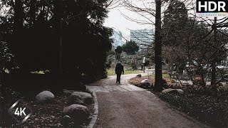 【4K HDR】Frankfurt's Green Oasis I A Calming Walk Through the Palmengarten IMMERSED by City Odyssey 64 views 1 month ago 30 minutes