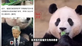 福宝被国家授予熊猫文化传承大使，从此福宝也是有编制的熊熊了