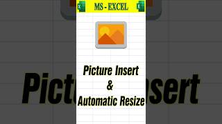 How To Insert Picture And Auto Resize in Excel #shorts #exceltipshindi