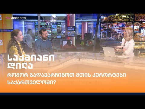 როგორ გადავარჩინოთ მთის კურორტები საქართველოში?