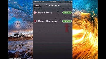 Setting Up A Conference Call 2015