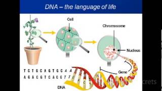 Nutrition Of Generations Influencing The Next And The Effec