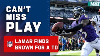 Lamar Finds Hollywood Brown on Perfect TD Pass Hollywood Brown Height