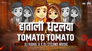 Hatala Dharlaya X Tomato Tomato | DJ Rahul A X DJ Steams Music | Hila Bharl Nyar Pis | Anand Shinde