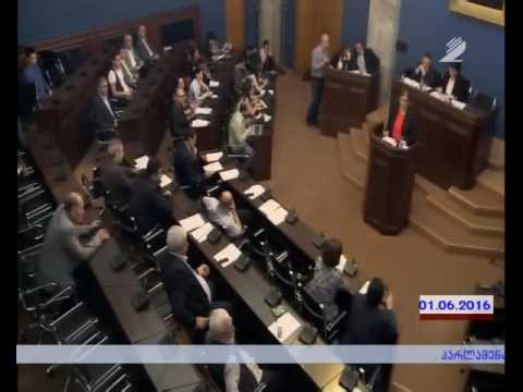 ირინე  იმერლიშვილის გამოსვლა პარლამენტში
