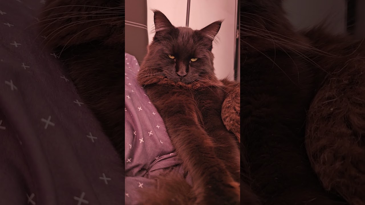 Утро понедельника ❤️ 