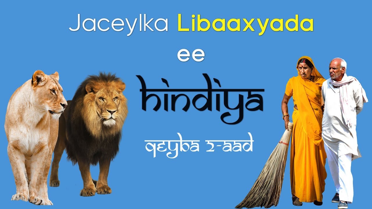 Dadka Ku nool Gujaraat Iyo Jaceylka ay u qabaan Libaaxyada Qeybta 2-aad