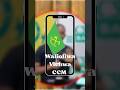 KUMEKUCHA Walioliwa Vichwa CCM Uchaguzi 2025 KUMEKUCHA Walioliwa Vichwa CCM Uchaguzi 2025