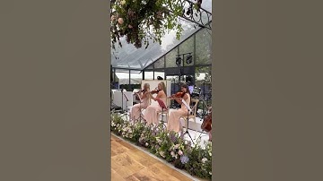 Thumbnail of INCREDIBLE string Quartet!!! (Marquee wedding)