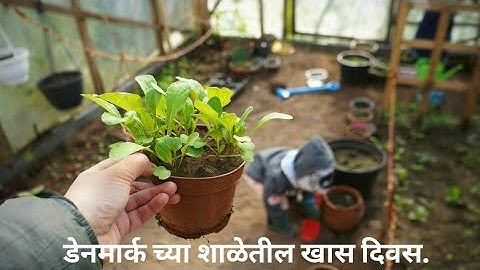निसर्गाचा सन्मान आणि जोपासना.