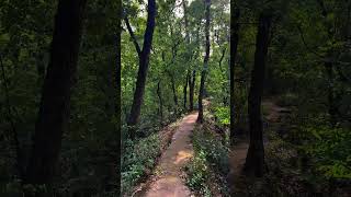 Nostalgic steps guide us through memories and nature