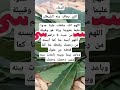الدعاء الذي يخاف منه الشيطان اكسبلور Shorts دعاء مستجاب الدعاء الذي يخاف منه الشيطان اكسبلور Shorts دعاء مستجاب