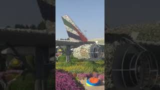 حديقة الأزهار في دبي: عبق الجمال وروعة الطبيعة shorts