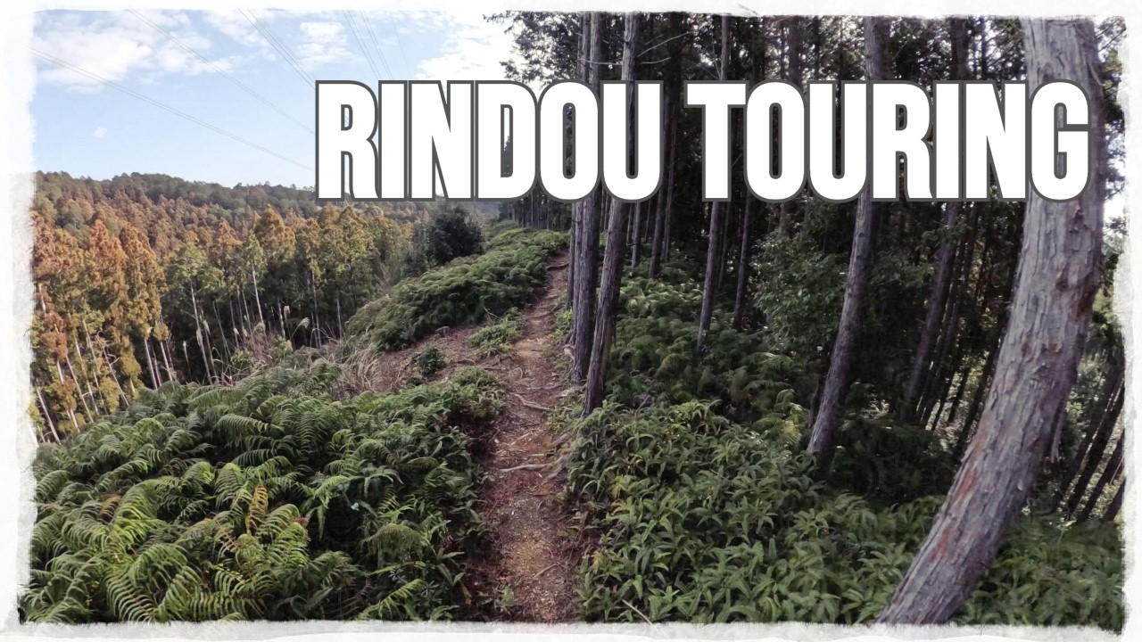 【絶景かな】林道ツーリング - 2026.2.15