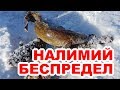 КРУПНЫЙ НАЛИМ на Байкале + подводное видео