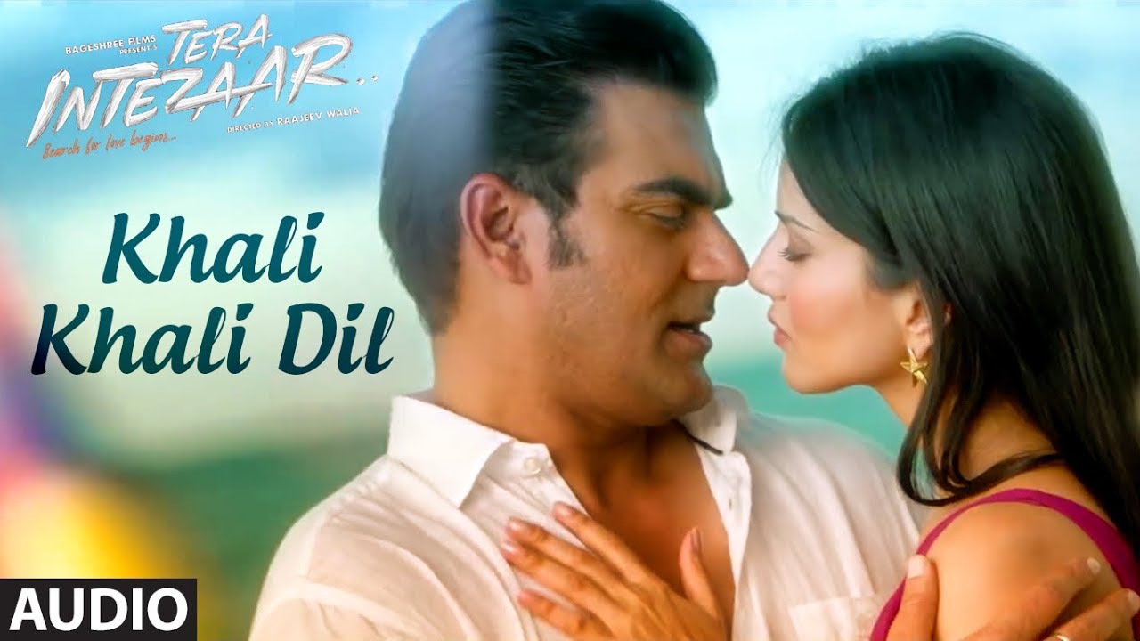 Tera Intezaar Khali Khali Dil Full Audio  Song  Sunny Leone  Arbaaz Khan