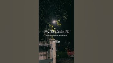 #قرآن_كريم #تلاوة_خاشعة #راحة_نفسية #q__k144 #اسلام_صبحي سبحان الله وبحمده سبحان الله العظيم