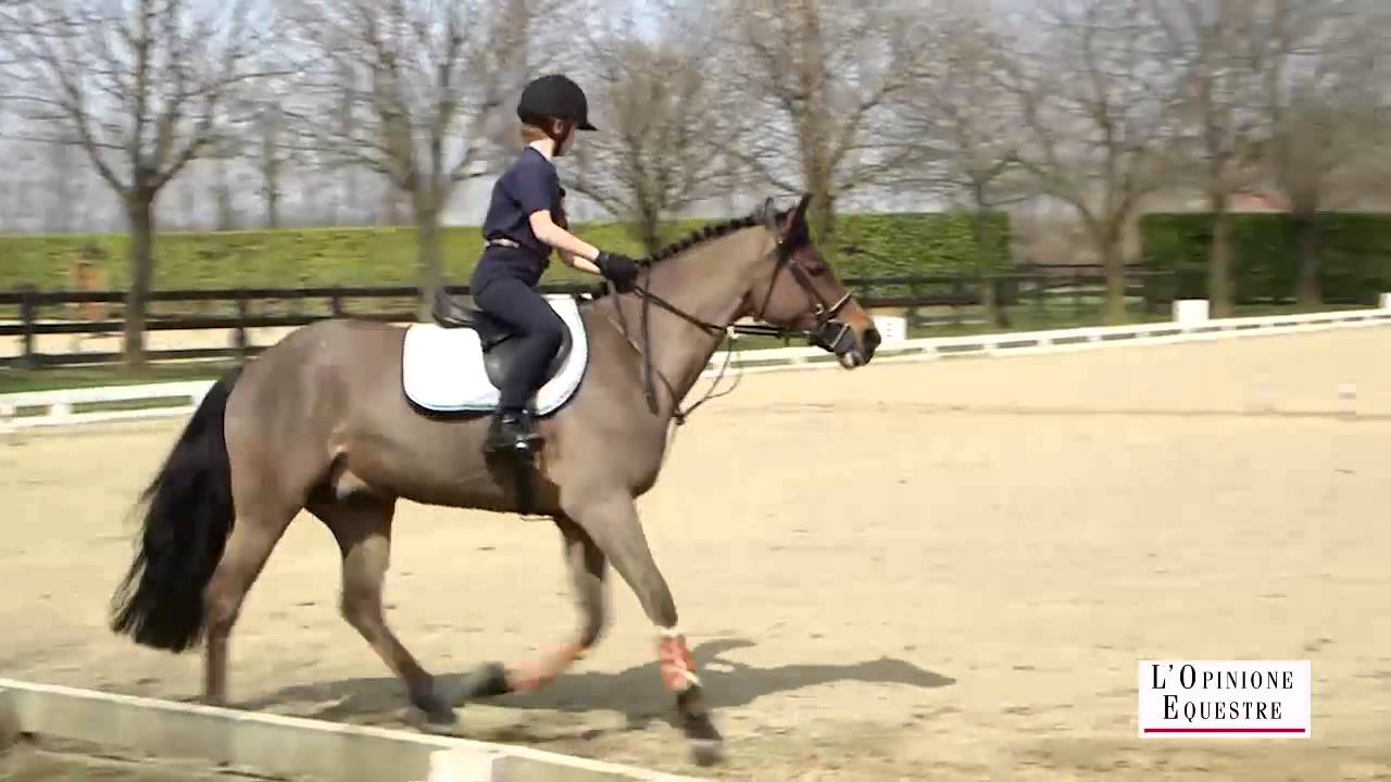 OE#63 -  Antonio Tabarini |  Il Galoppo 3