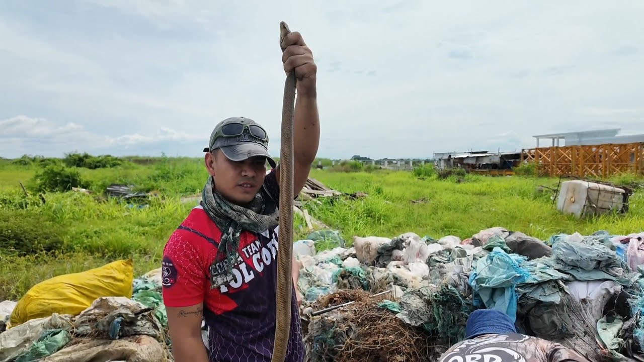 APAT NA COBRA SA PANGASINAN ANG HINARAP NG TEAM.# cobraprince 